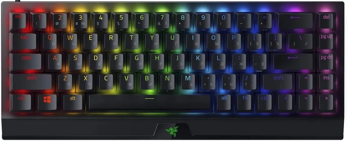 

Клавиатура Razer BlackWidow V3 Mini HyperSpeed черный (RZ03-03890700)