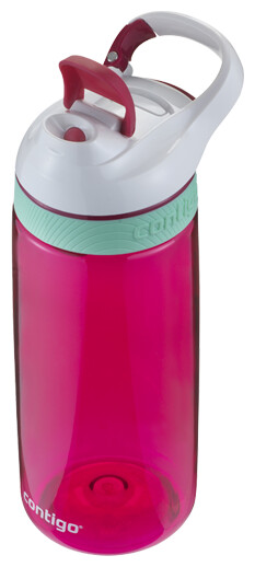 

Аксессуар для велосипеда Contigo Courtney розовый пластик (2094838) Бутылка