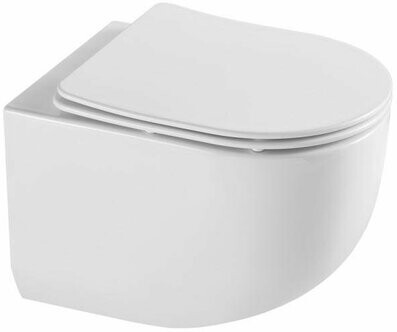 

Унитаз Aquame AQM2012 с сиденьем SoftClose, 495х360х370