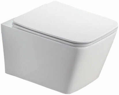 

Унитаз Azario NOVA безободковый с сиденьем м/лифт 530х350х360 (AZ-2216 SP)