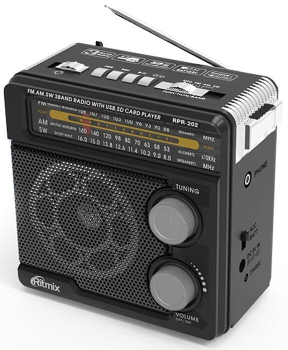 Радиоприёмник Ritmix RPR-202 черный