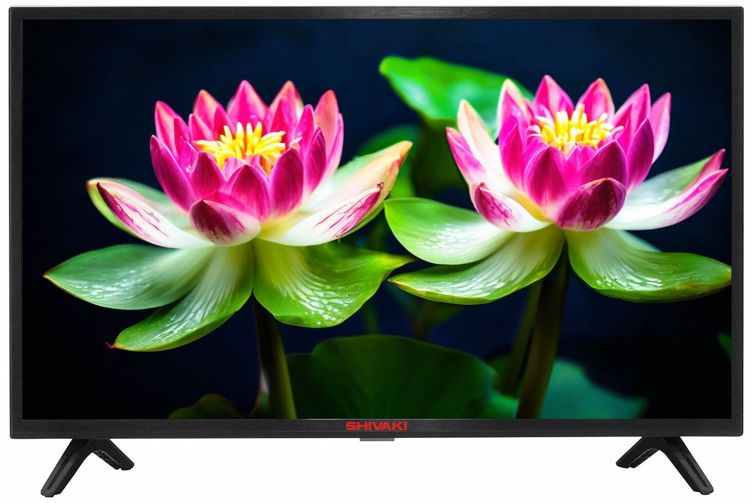 

Телевизор Shivaki S32KH5500