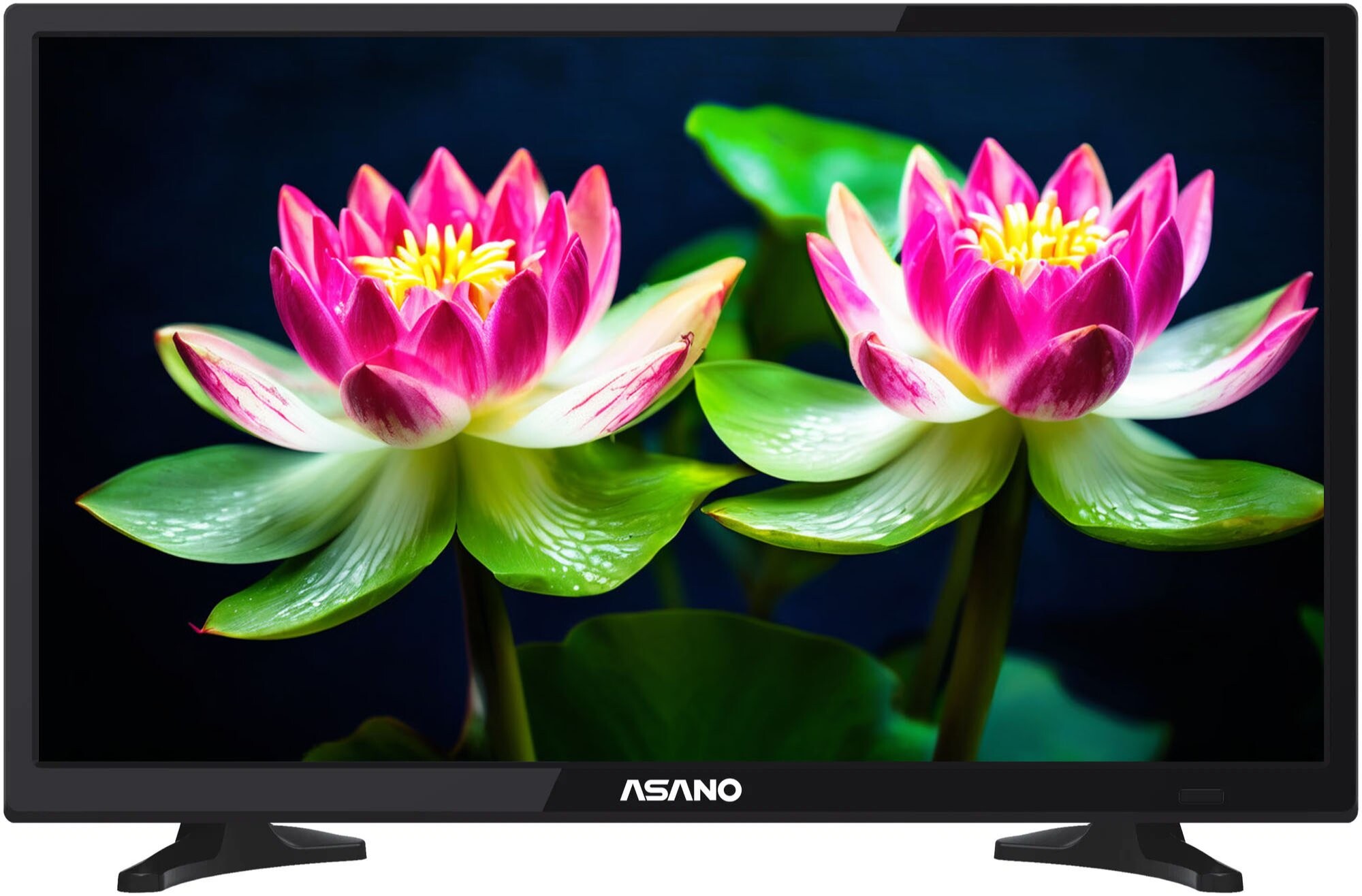 

Телевизор Asano 24LH1010T