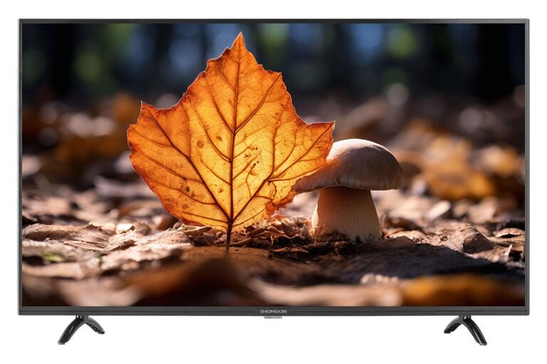 Телевизор Thomson T43FSM6070