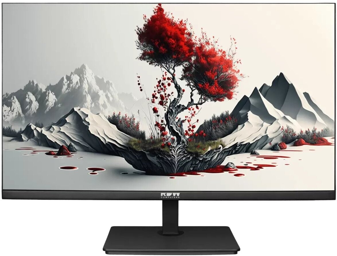 

Монитор RDW Computers RDW2401K черный