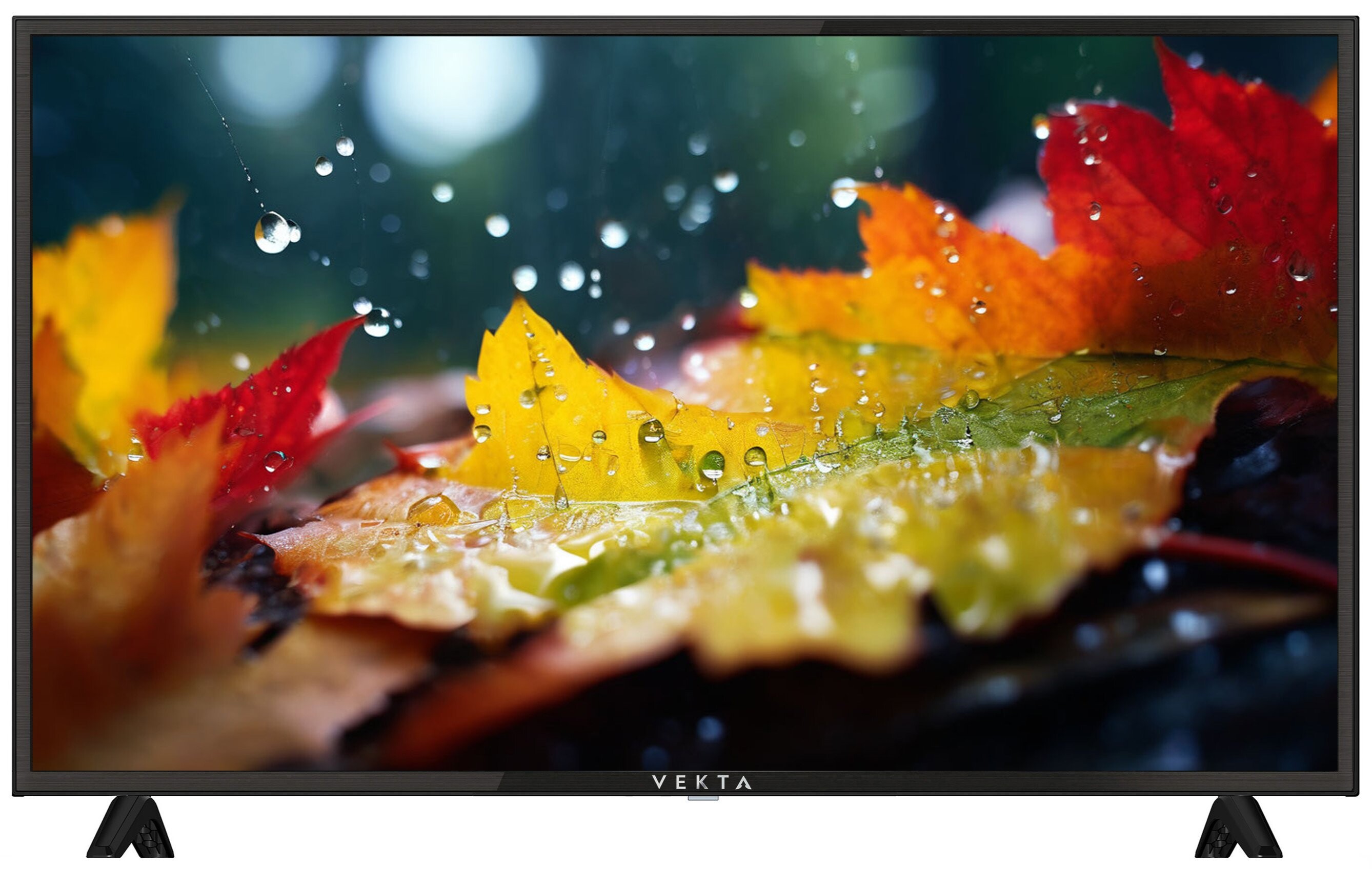 

Телевизор VEKTA LD-42SF4350BT