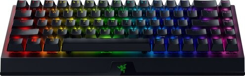 

Клавиатура Razer BlackWidow V3 Mini HyperSpeed черный (RZ03-03890400-R3G1)