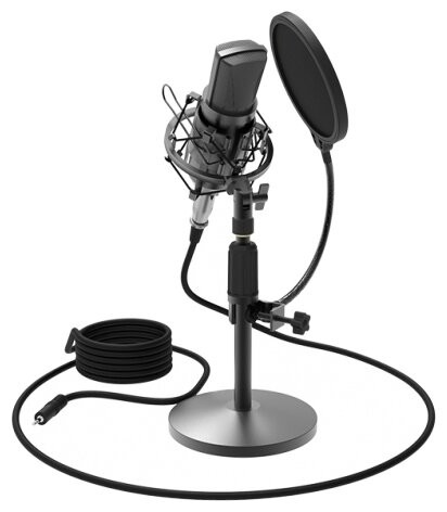 

Микрофон Ritmix RDM-175 черный