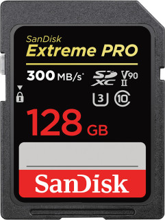 

Карта памяти Sandisk SDXC 128Gb Class10 SDSDXDK-128G-GN4IN