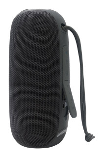 

Портативная акустика Digma S-25 серый (SP2510G)