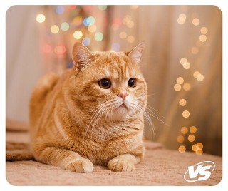 

Коврик для мыши VS Cat Рис.8 (VS-B4652)