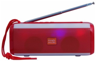 

Портативная акустика Magic Acoustic SK1014R