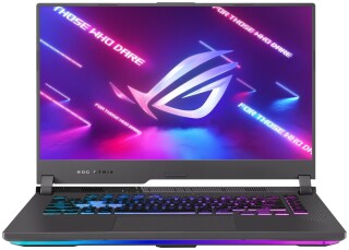 

Ноутбук ASUS ROG G513IE-HN012 без ОС серый (90NR0582-M00340)