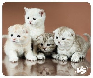 

Коврик для мыши VS Cat Рис.6 (VS-B4650)