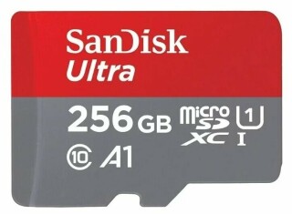 

Карта памяти Sandisk microSDXC 256Gb SDSQUA4-256G-GN6MA